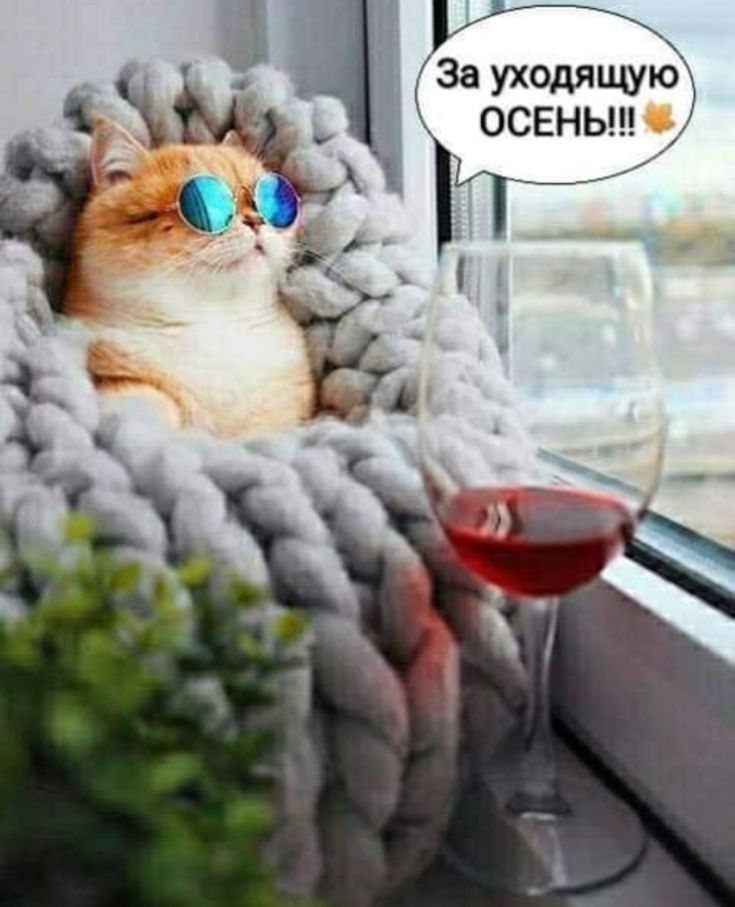 5 А Зауходящую 13 осеньцу і