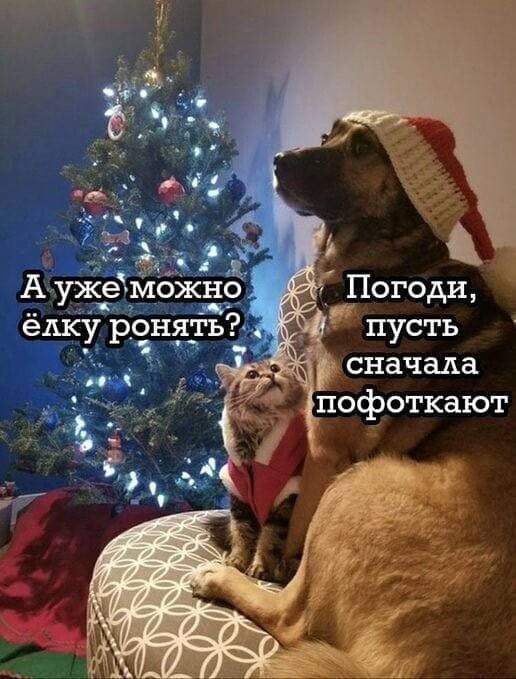 __ зч л едкур нять _