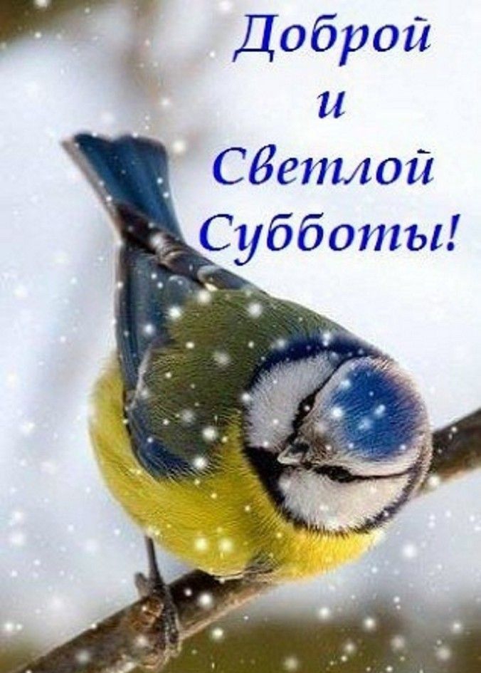 Доброй и СБетлой С