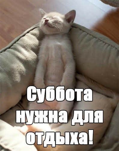 5 33 Виііііота нижнадпя ай па