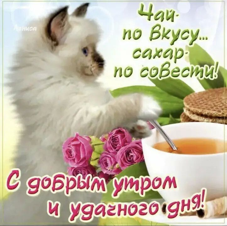 Чац по ВКсу