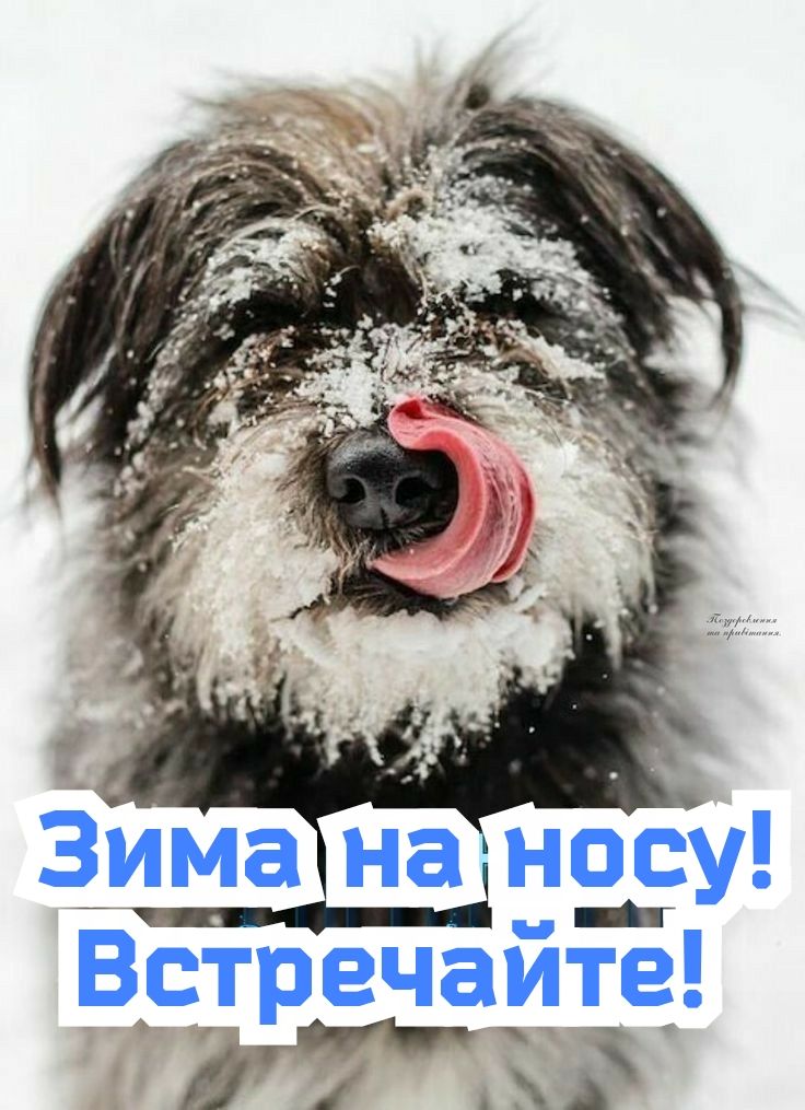 Зима на носу Встречайте ддг