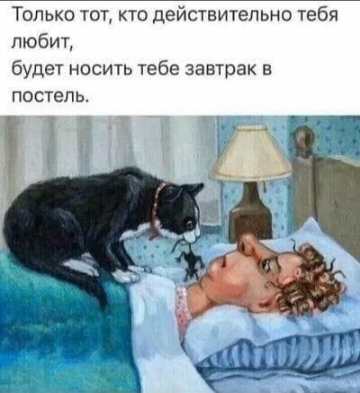 Только тот кто действительно тебя любит будет носить тебе завтрак в постель