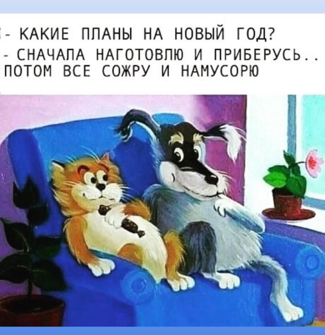 КАКИЕ ППАНЫ НА НОВЫЙ ГОД СНАЧАПА НАГОТОВПЮ И ПРИБЕРУСЬ ПОТОМ ВСЕ СОЖРУ И НАМУСОРЮ