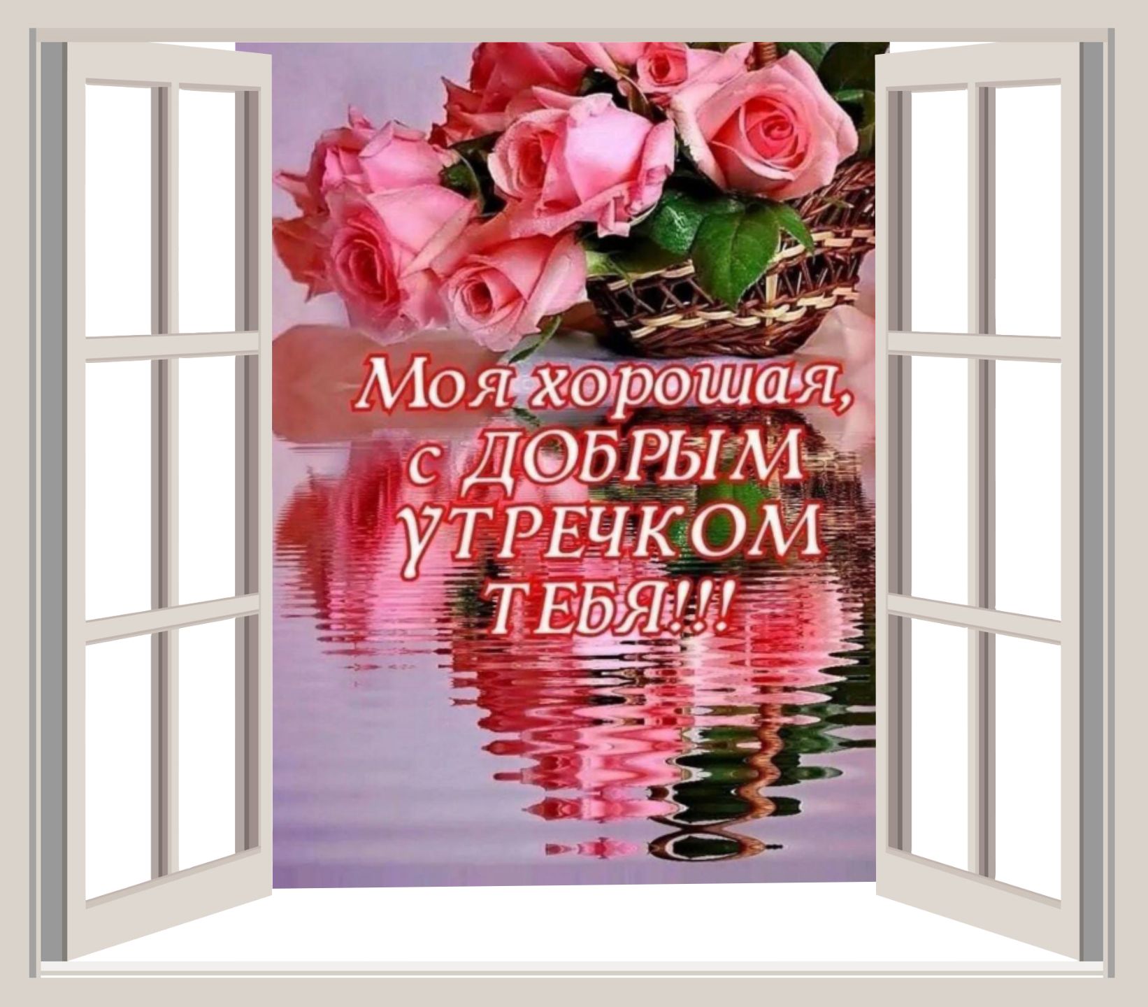 Мояіййрэт СЭД Б РЬ М УТРЕЧКОМ