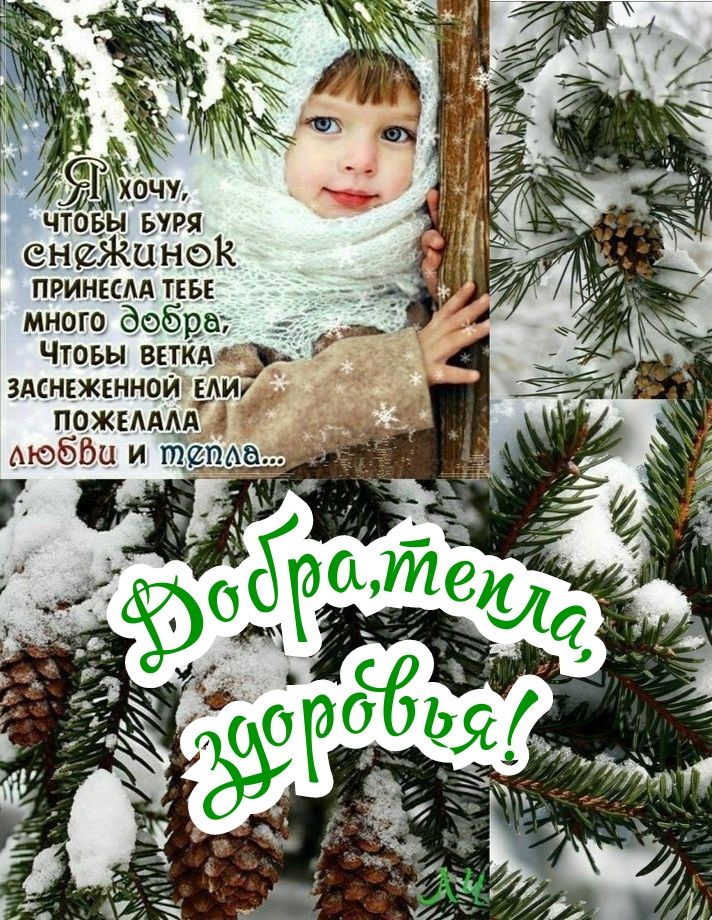 _ шхцчж чтцвы ЬУРЯ много бобра ЧТОБЫ ВЕТКА