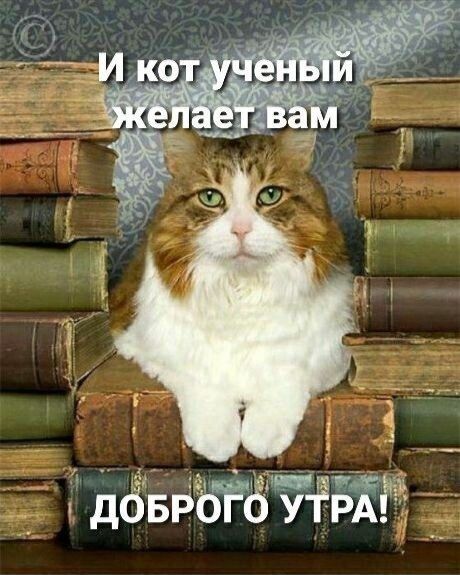 дёвдъ т ду _
