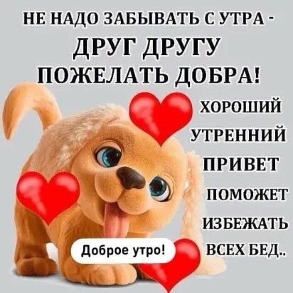 нв НАДО ЗАБЫВАТЬ с УТРА ДРУГ ДРУГУ ПОЖЕЛАТЬ ДОБРА хороший утрвнний приввт ПОМОЖЕТ ИЗБЕЯСАТЬ д Бобров уши ВСЕХ ВЕД _а ___1