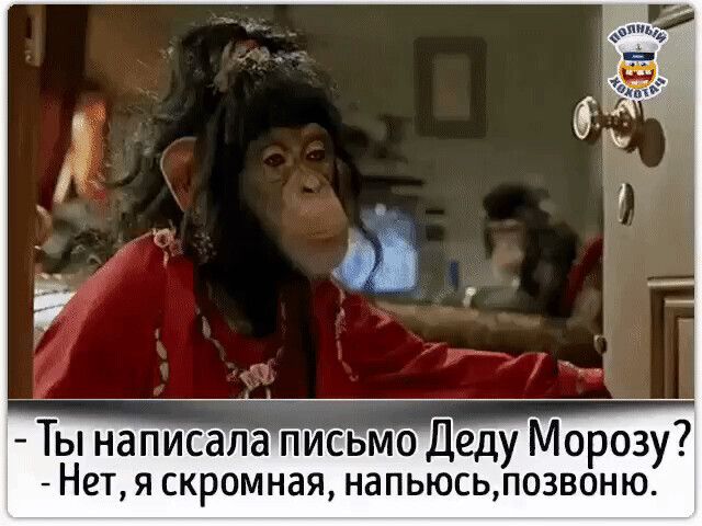 Ты написала письмо Деду Морозу Нет я скромная напьюсьпозвоню