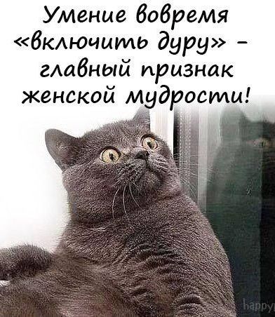 Умение Вовремя включиио дуру гдавный признак женской мудрости