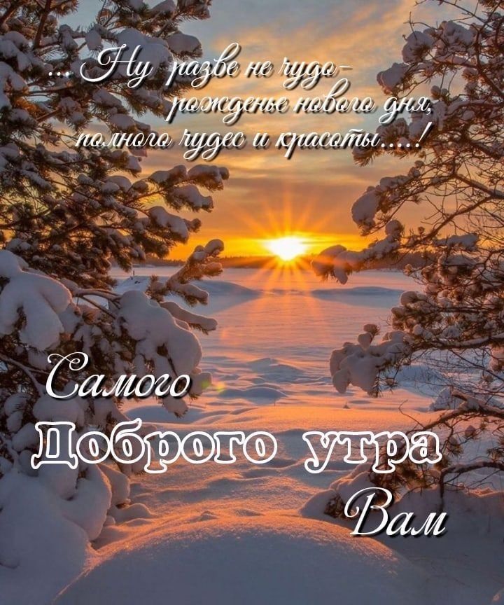 01 _ тг на ит Рр шипучие низшим _ 9 пт _