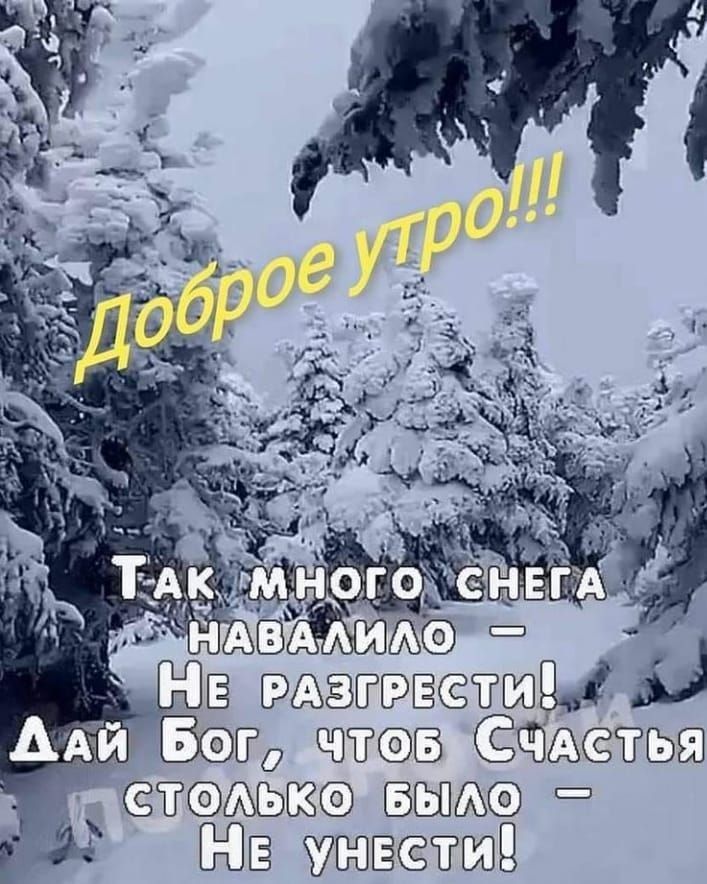 оз твэа тщ в В