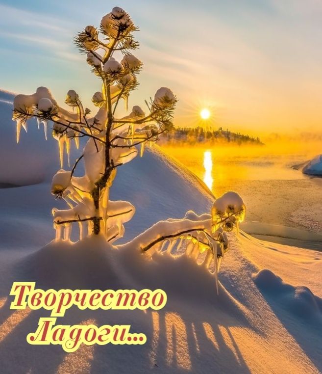 Впвориество «пуровао '