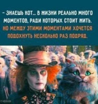 3АШЪ т в щи ктив много ши поташ стоит мп 3 541 зтнчм мамами хачщя пстшьна ьтгьзпсс