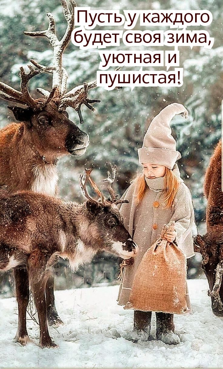 _ э Пустьку каждого Ёудепёвоя зима уютная и