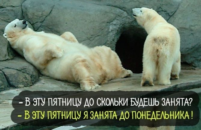 В ЗГУ ПЯТНИЦУ А0 СКОАЬКИ БУДЕШЬ ЗАНЯТА В ЭТУ ПЯТНИЦУ Я ЗАНЯТА А0 ПОНЕАЕАЬНИКА щ