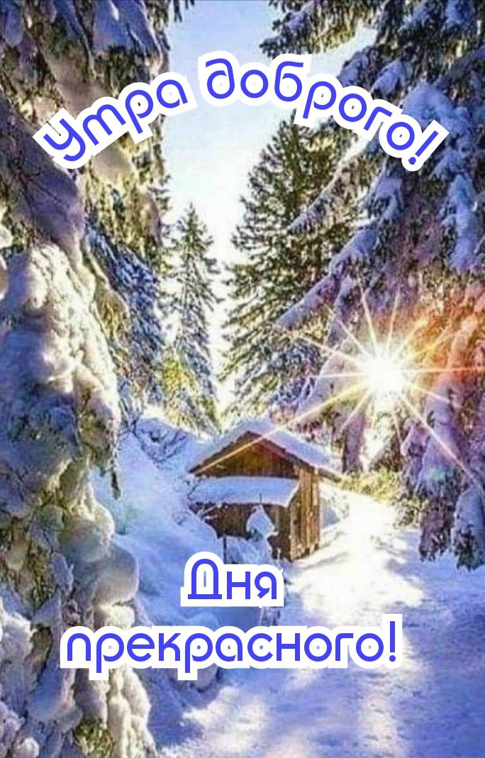 _ _ 77 на пренросн го__