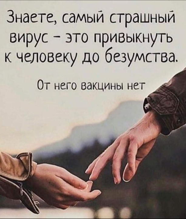 Знаете самый страшный вирус это привыкнугь к человеку до безумства От него вакцины нет