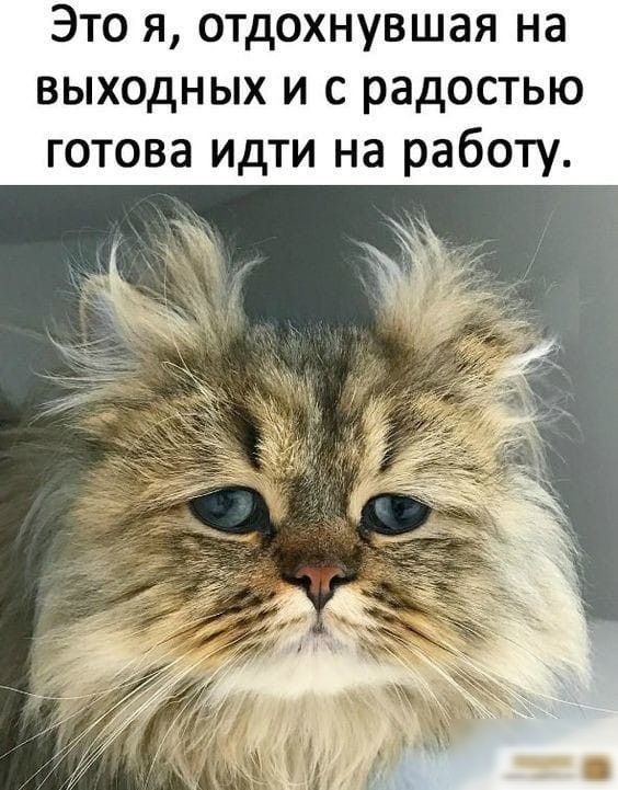 Это я отдохнувшая на выходных и с радостью готова идти на работу