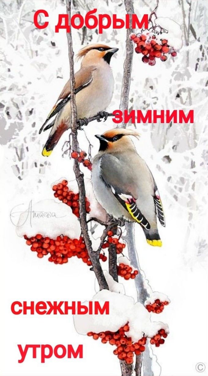 Снежным утром 84