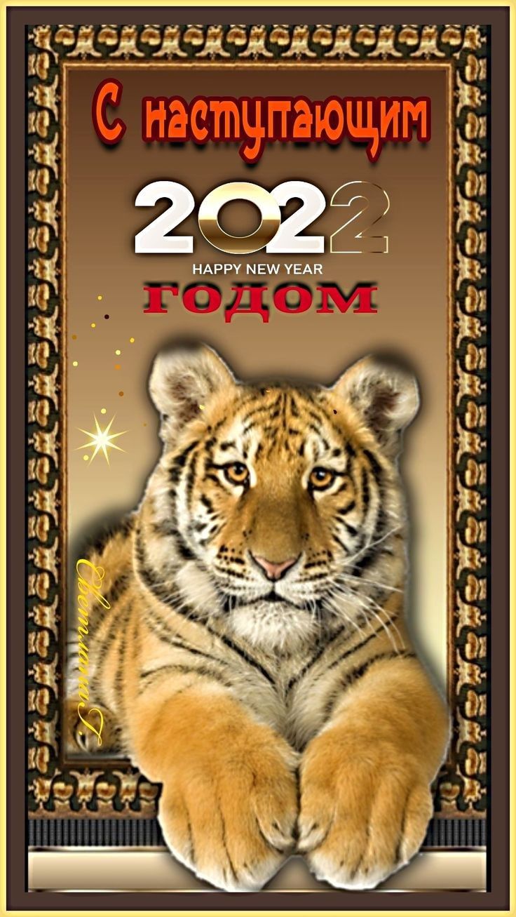 НАРРУ НЕМ УЕАК 11 29223