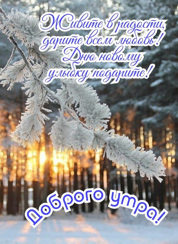 Ёша Эбис йа ддтпд ахи жа лО д51 _ эй71а7шЛд _