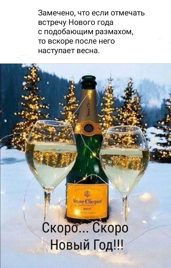 Замечено что если отмечать встречу Нового года с подобающим размахом то вскоре после него наступает весна Новый Год