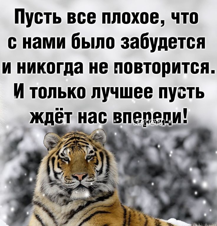 Пусть все плохое что с нами было забудетоя и никогда не повторится И только лучшее пусть