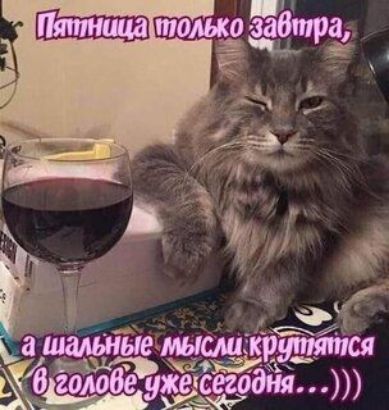 МУЖМ