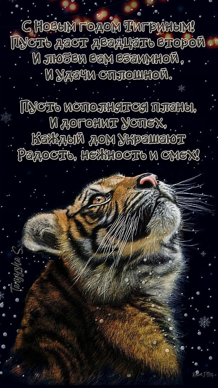 _ г ш кто м м М