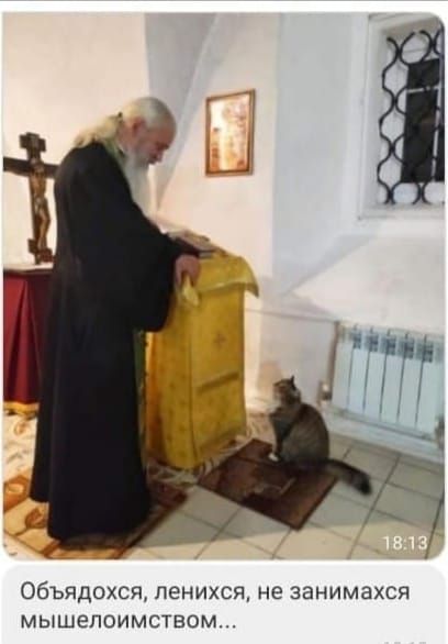 Объядохсп пенихся не занимахся мышепоимством