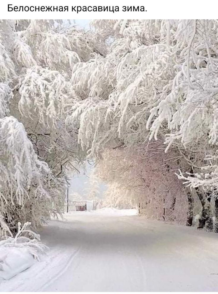 БеЛОСНЭЖНЗЯ красавица зима