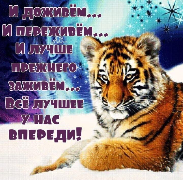пучшн