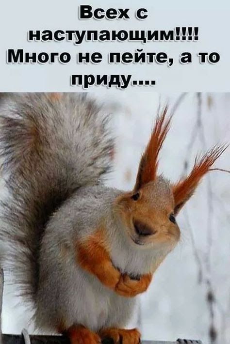 Всех с наступающим Мною не пейте а то хприду