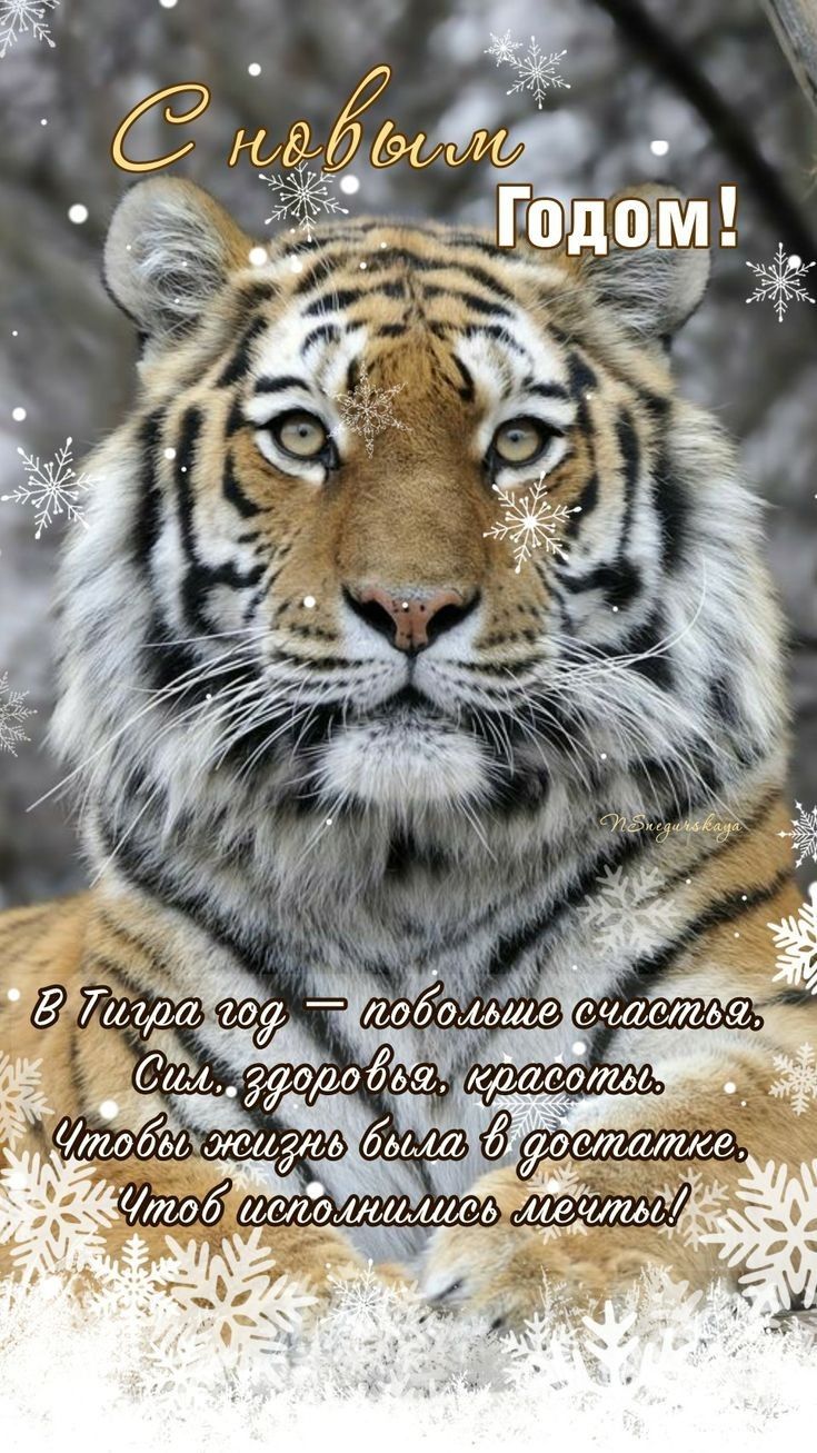 Ъ . Мъд ъду чобоищв очась ь а.ъ одоёьа роод  тлбмхжл;мь 6ььш 7 уотщша