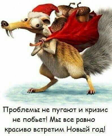 ъ Проблемы не пугают и кризис не побьет Мы все равно красиво встретим Новый год