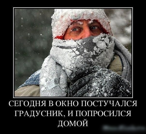 СЕГОДНЯ в окно ПОСТУЧАЛСЯ ГРАДУСНИК И попросился домой
