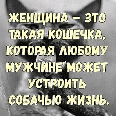 женщи эт9 тдкдяёбиёпкд Аюв9му МУЖЧИНЕМФ