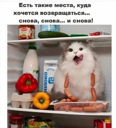 Есть шкив мыла куда хочется возвращаться сноп сима и снова