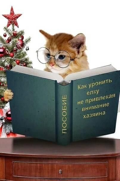 НЕСКЛЦИГ