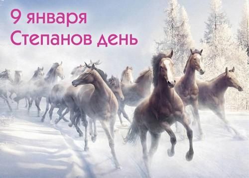 9 января Степанов Аень