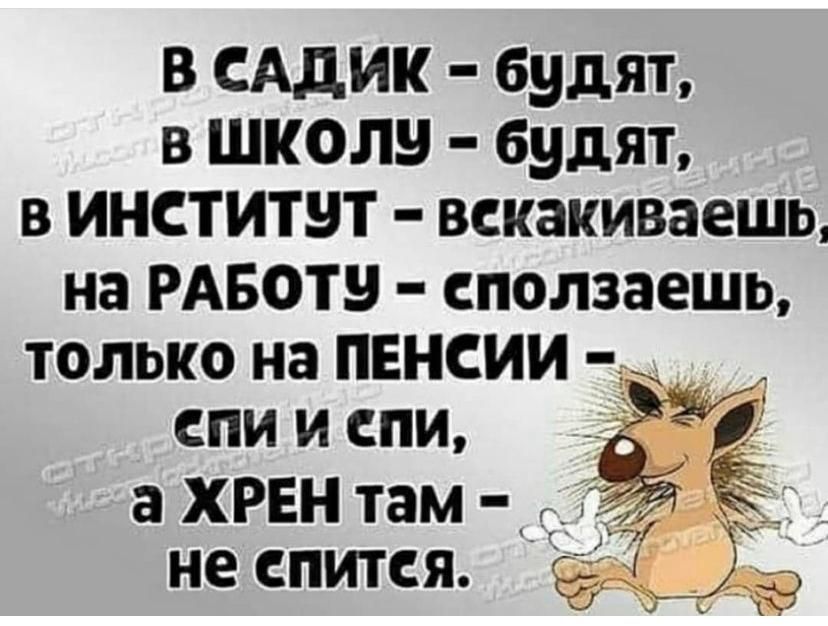 В садик  будят, в школу  будят, в инститчт  векакиваешь, на работу  сползаешь, только на пенсии  епи и епи, : а хрен там  777 не спитея.