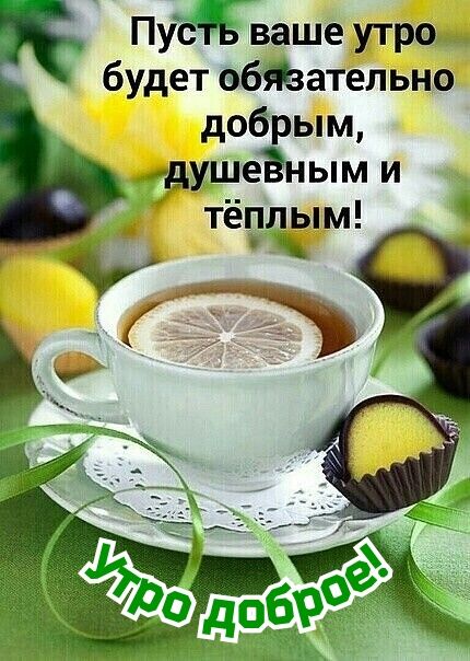 Пусть ваше утро будет абЯзательно добрым ушеЁным и тёплым А