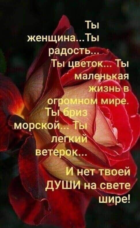 Ты женщинаТы радость
