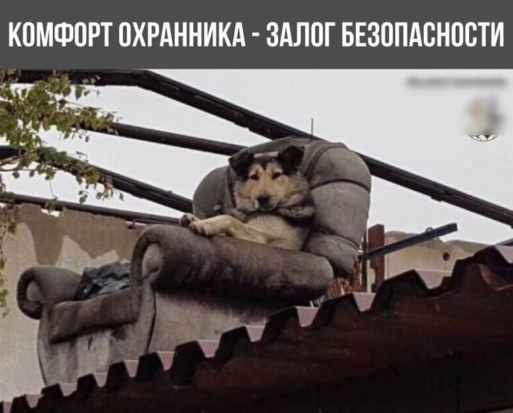 Комфорт охранника  залог безопасности