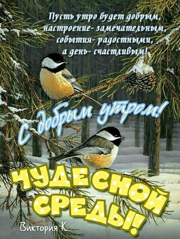 Б.:тищиип замечательн:  гобытияе рцпттлиг