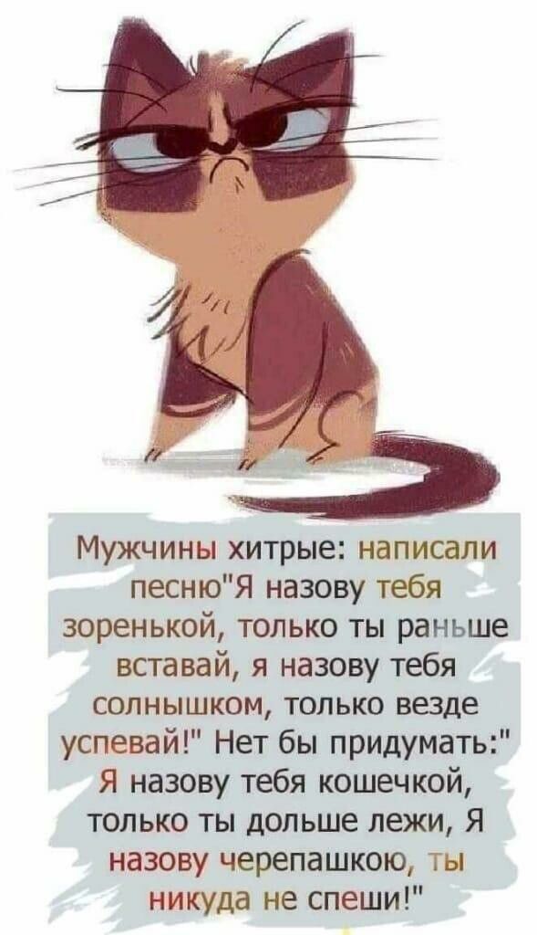 Мужчины хитрые написали песнюЯ назову тебя зоренькой только ты раньше вставай я назову тебя солнышком только везде успевай Нет бы придумать Я назову тебя кошечкой только ты дольше лежи Я назову черепашкою ты никуда не спеши