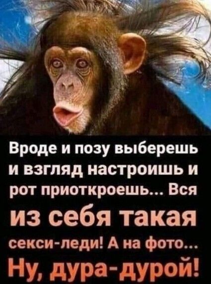 Вроде и позу выберешь и взгляд настроишь и рот приоткроешь... Вся из себя такая сексиледи! А на фото... Ну, дурадурой!  7