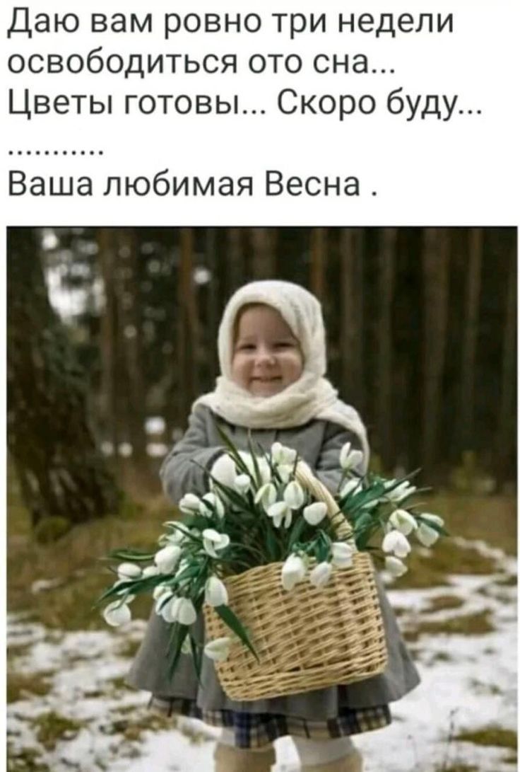 Даю вам ровно три недели освободиться ото сна Цветы готовы Скоро буду