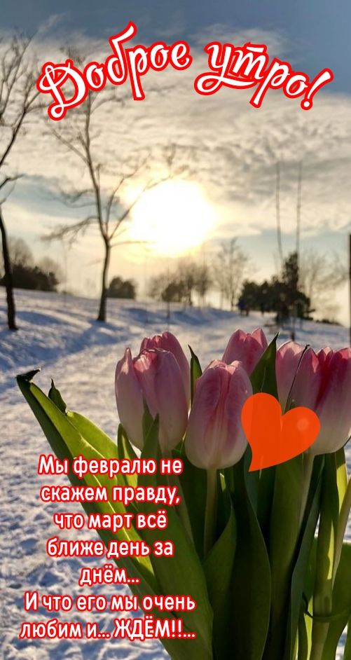екажемправду ма рт всё